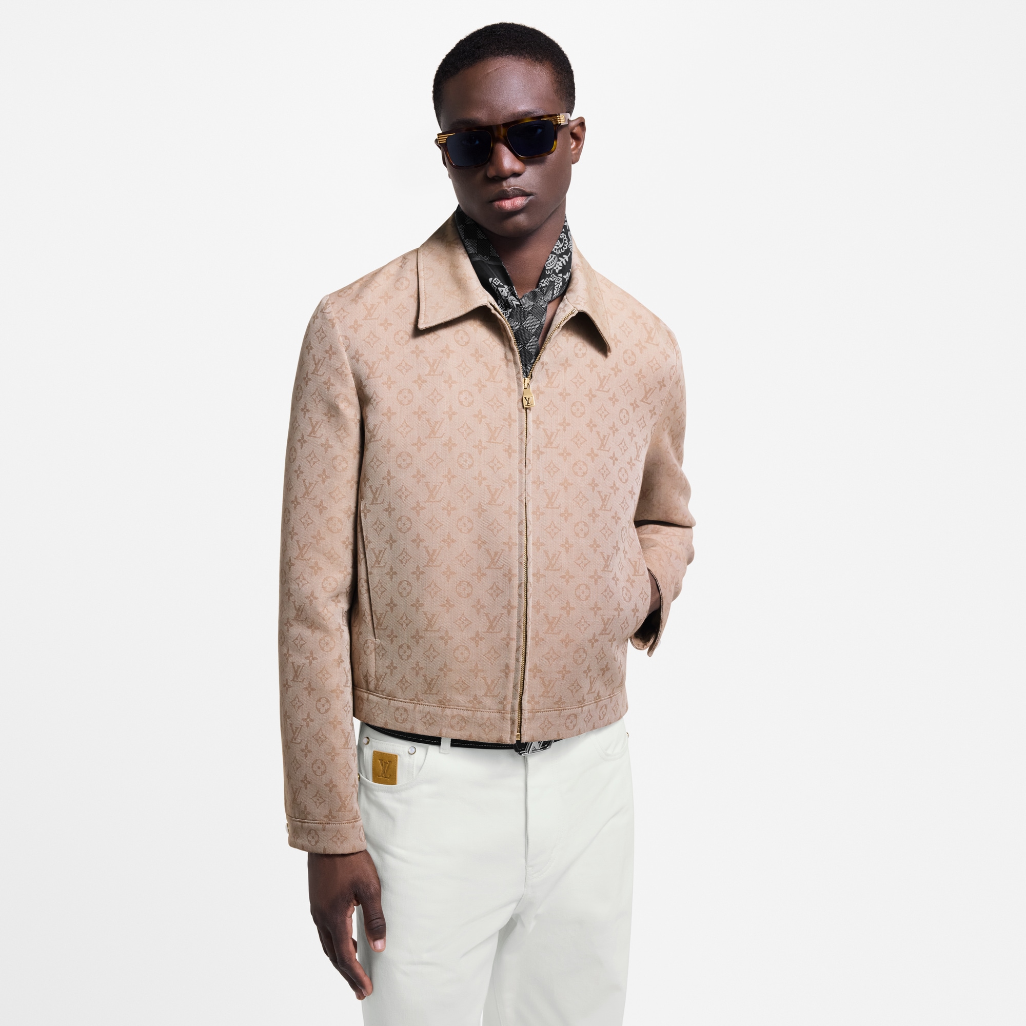 Monogram Zippered Blouson - Ready-to-Wear 1AHV88 | LOUIS VUITTON